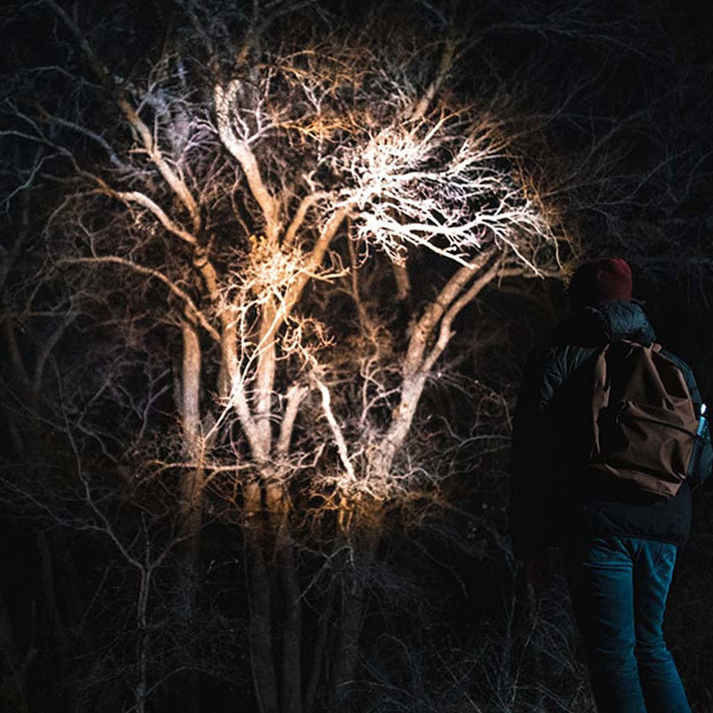 LINTERNA DAVINCI™ 1000. RECARGABLE. NEBO - Imagen 5