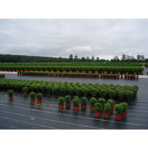 MALLA ANTI-HIERBAS VERDE 100g 2x25m FUN&GO