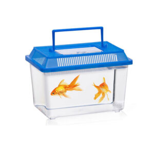 CAJA PARA INSECTOS COLORES SURTIDOS