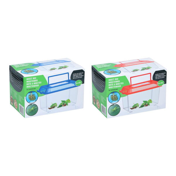 CAJA PARA INSECTOS COLORES SURTIDOS - Imagen 3