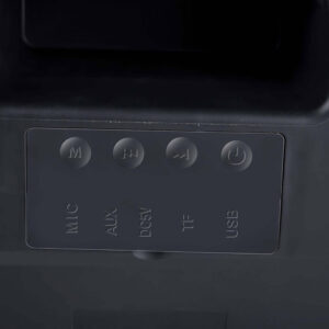 ALTAVOZ BLUETOOTH TWS 20W DUNLOP