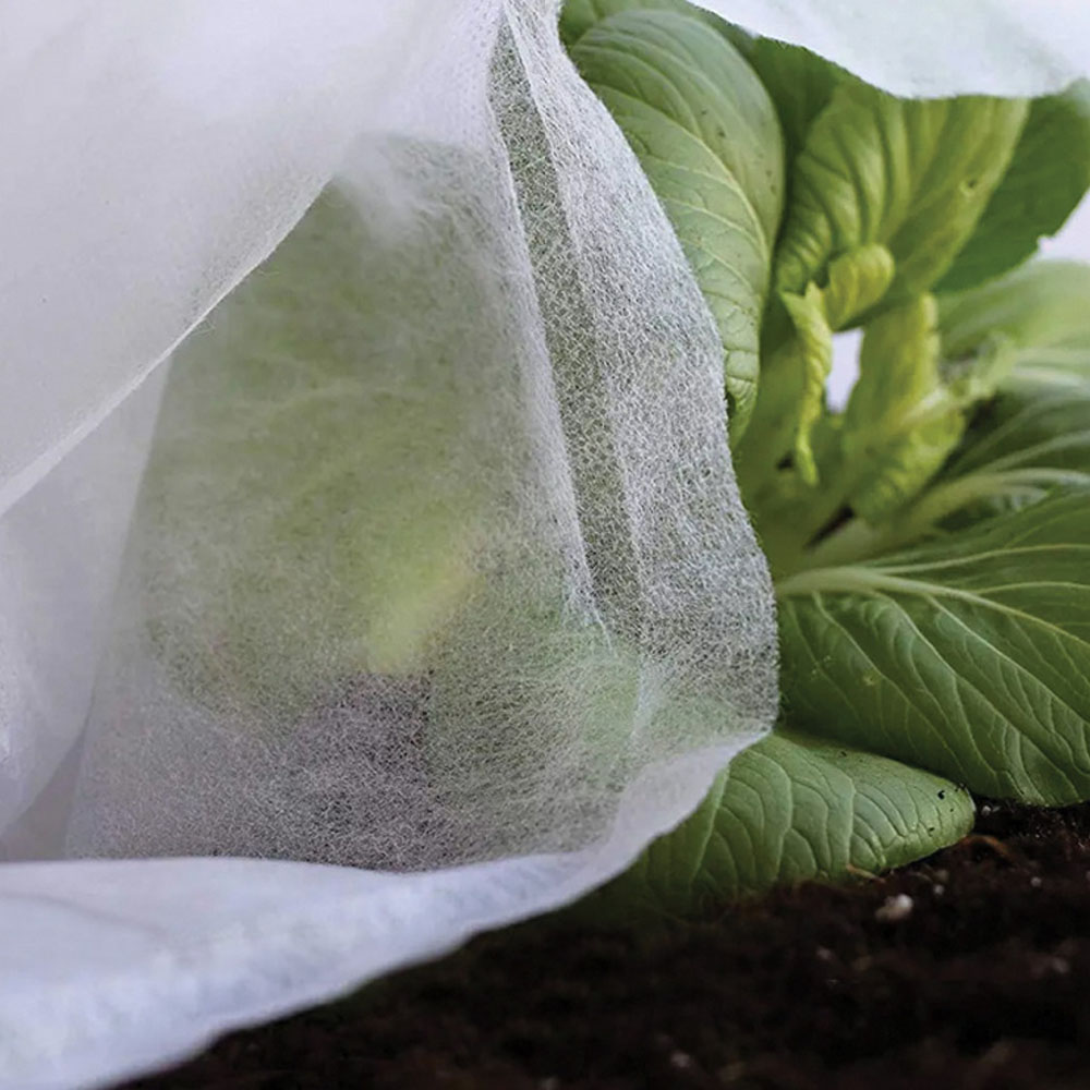 TELA DE PROTECCIÓN CULTIVOS PAÑO ARTIC 4x5m 17g/m² - Imagen 4