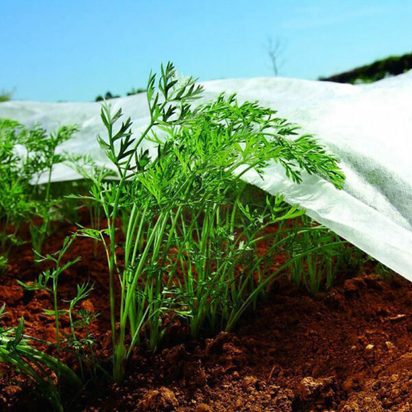 TELA DE PROTECCIÓN CULTIVOS PAÑO ARTIC 4x10m 17g/m² - Imagen 3
