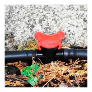 PACK DE 2 VALVULAS DE 16mm BLUE BIRD