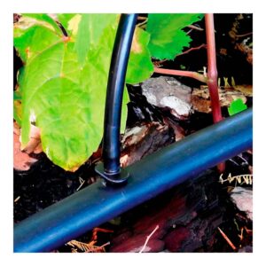PACK CON 10 UNIONES 4mm BLUE BIRD