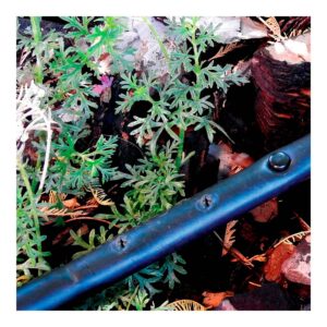 PACK CON 10 TAPONES 4mm BLUE BIRD