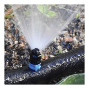 PACK CON 10 MAXI JETS 90° BLUE BIRD