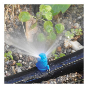 PACK CON 10 MAXI JETS 180° BLUE BIRD