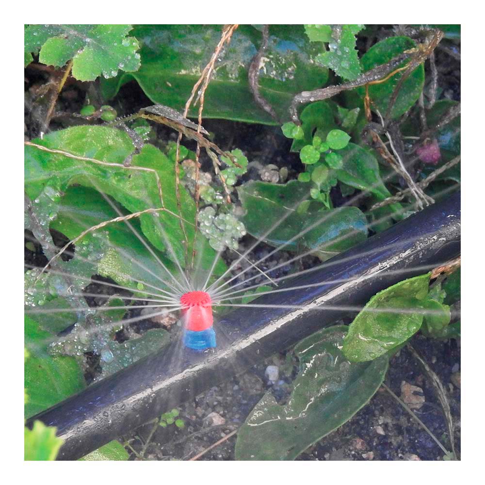 PACK CON 10 MAXI JETS 360° BLUE BIRD