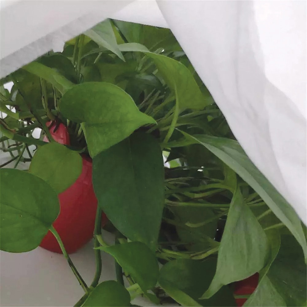 TELA DE PROTECCIÓN PARA CULTIVOS 1,5x5m 17gr/m² BIOTOP GARDEN - Imagen 2