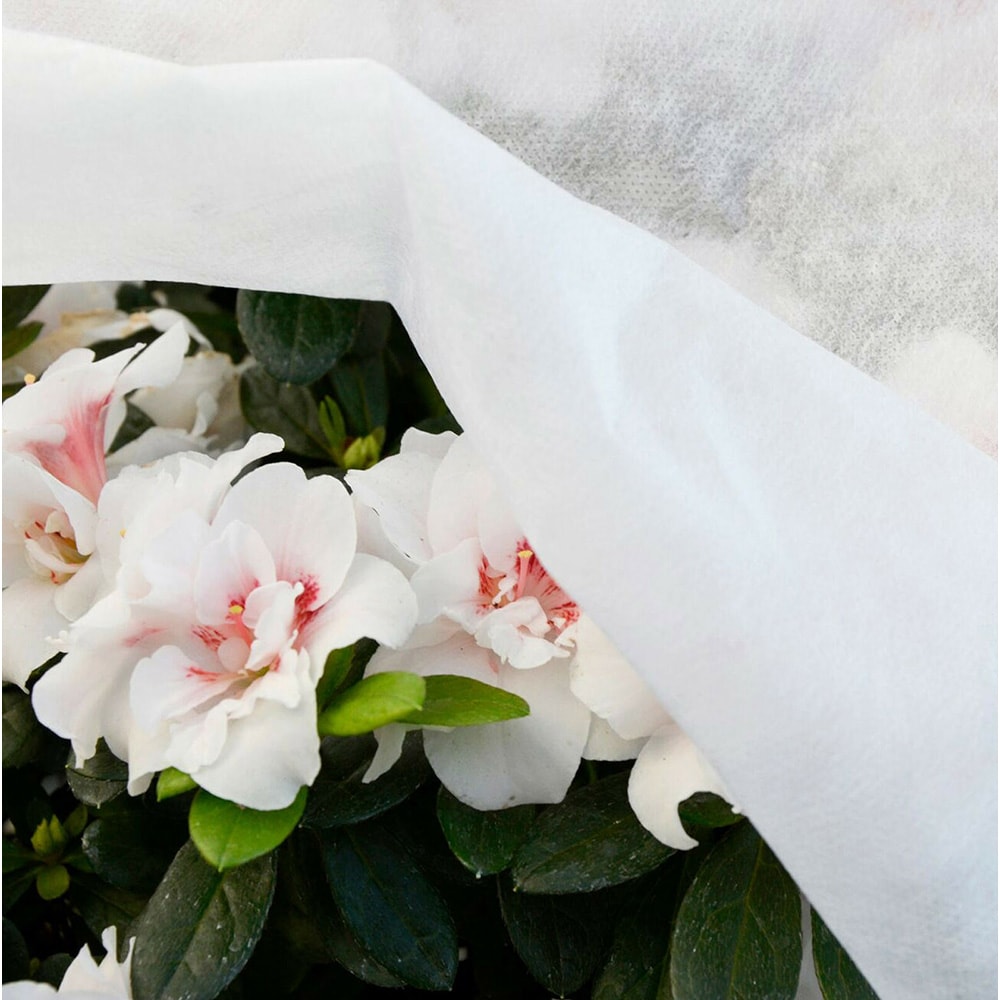 TELA DE PROTECCIÓN PARA CULTIVOS 1,5x5m 17gr/m² BIOTOP GARDEN - Imagen 5