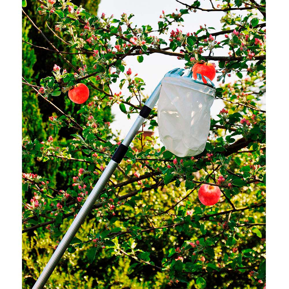 RECOGEDOR DE FRUTAS TELESCOPICO EXTENSIBLE DE 130-240cm GROUW