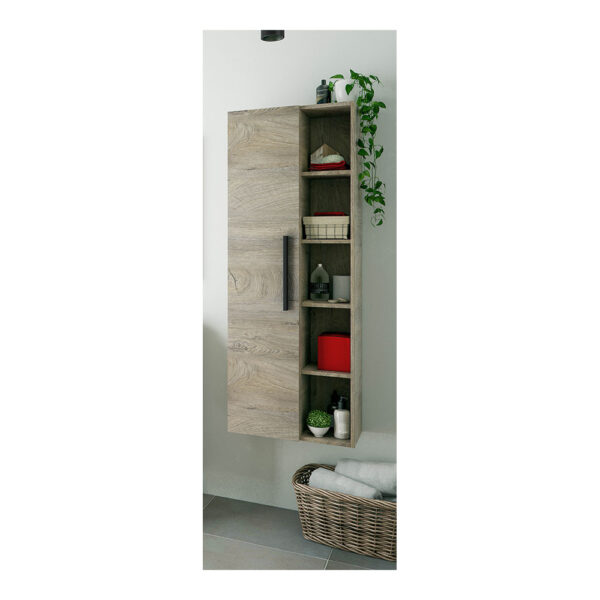 COLUMNA COLGAR 51 1PUERTA + ESTANTES - Imagen 5