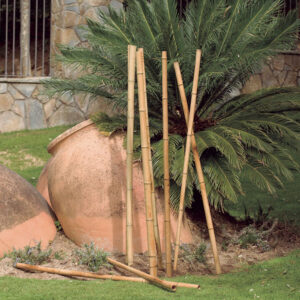 TUTOR DE BAMBÚ DECORATIVO COLOR NATURAL Ø5-6,5cm x1,8m  NORTENE
