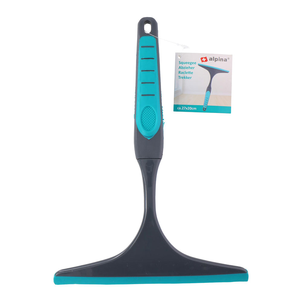 LIMPIA CRISTALES BASICO 22x24cm COLORES / MODELOS SURTIDOS