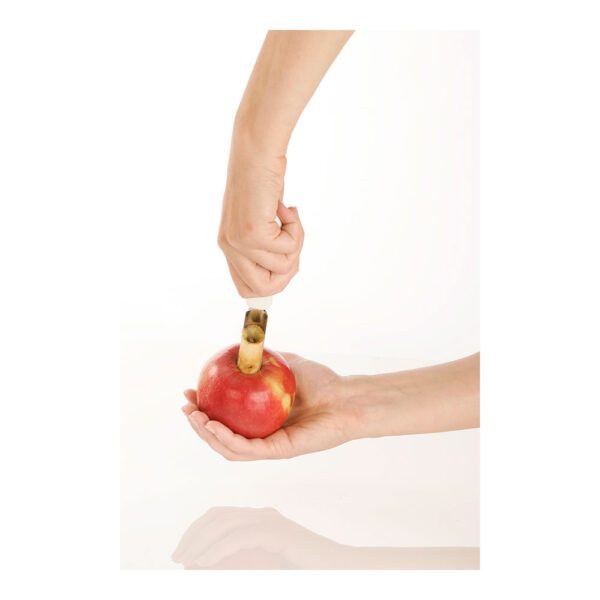 VACIADOR DE MANZANAS PRESTO. TESCOMA