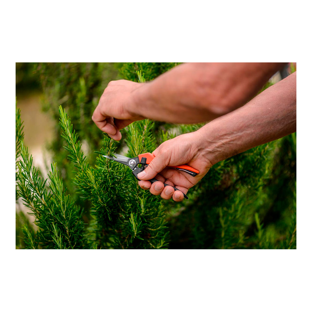 TIJERA PARA VENDIMIA DE PUNTA 18. LONGITUD: 18cm STOCKER