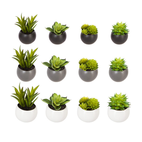 MINI PLANTAS DECORATIVAS CON IMAN MODELOS SURTIDOS 6cm - Imagen 2