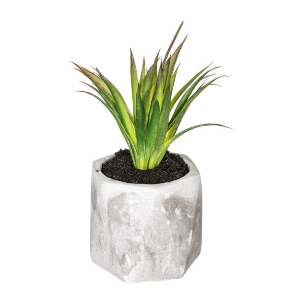 PLANTA DECORATIVA CON MACETA 7x14cm MODELOS SURTIDOS