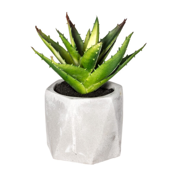 PLANTA DECORATIVA CON MACETA 7x14cm MODELOS SURTIDOS - Imagen 2