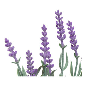 PLANTA ARTIFICIAL LAVANDA MACETA VINTAGE Ø13x32cm COLORES / MODELOS SURTIDOS