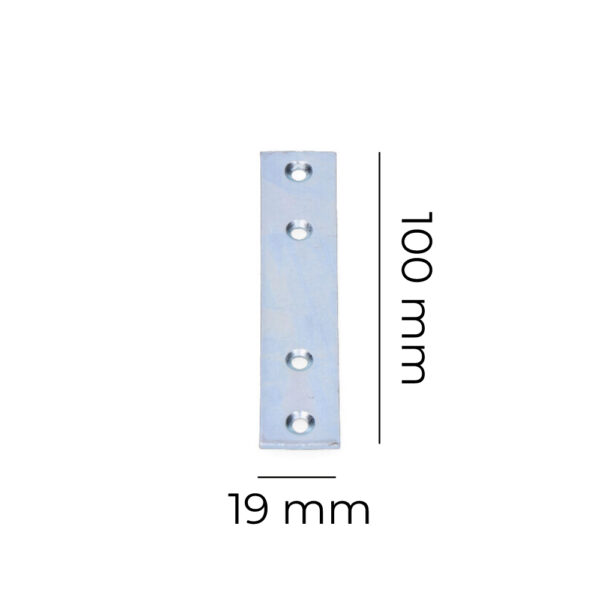PLETINA ZINCADA 100x19x2mm