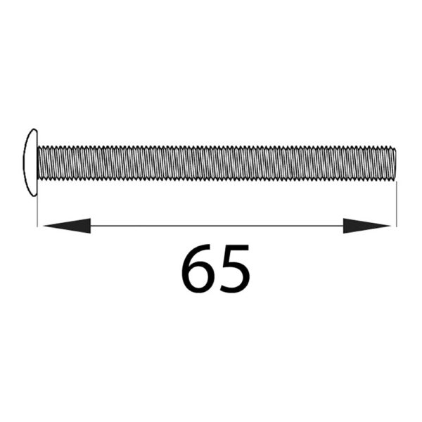 BLISTER TORNILLO CILINDRO TRN16 M5x65mm NI EDM - Imagen 2