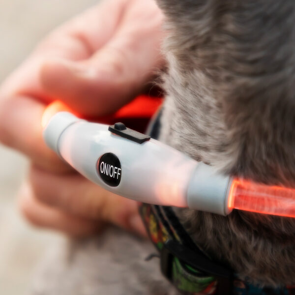 COLLAR DE LED PARA MASCOTAS PETLUX V0103458 INNOVAGOODS - Imagen 4