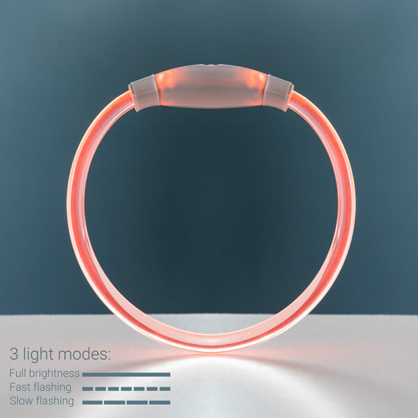 COLLAR DE LED PARA MASCOTAS PETLUX V0103458 INNOVAGOODS - Imagen 7