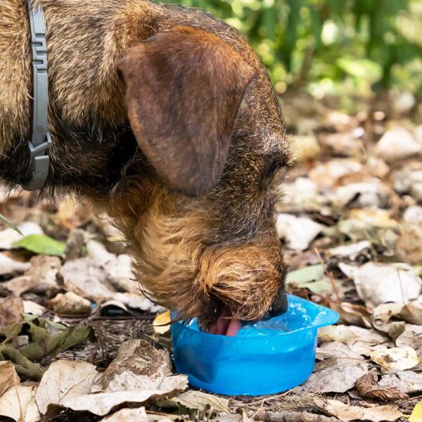 BOTELLA CON DEPÓSITO DE AGUA Y COMIDA PARA MASCOTAS 2 EN 1 PETTAP V0103141 INNOVAGOODS - Imagen 7