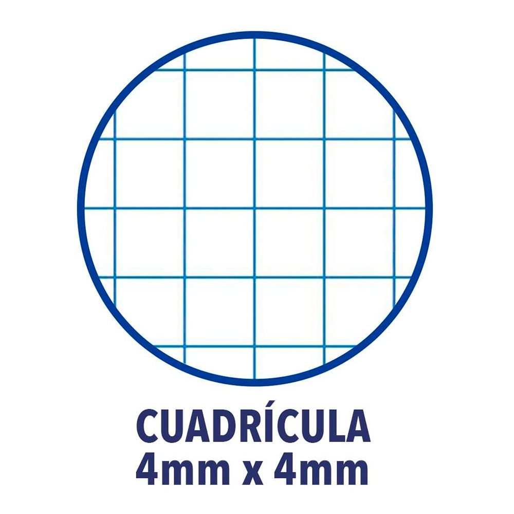 CUADERNO DE TAPA BLANDA ENRI ESPIRAL DIN A5 CUADRICULADO COLORES SURTIDOS - Imagen 2