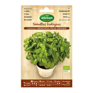 SOBRE CON SEMILLAS ECO DE ALBAHACA GENOVESA AGREEN