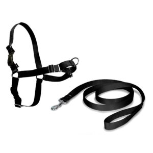 ARNÉS + CORREA, EASY WALK, NEGRO, T - MEDIANA, 56 - 81 cm