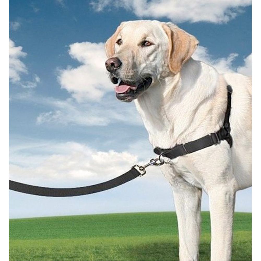 ARNÉS + CORREA, EASY WALK, NEGRO, T - MEDIANA, 56 - 81 cm - Imagen 2