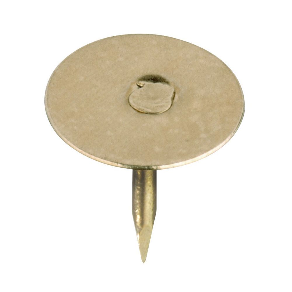 CHINCHETA PLANA LATONADA 9 mm, CAJA 100 uds - Imagen 2