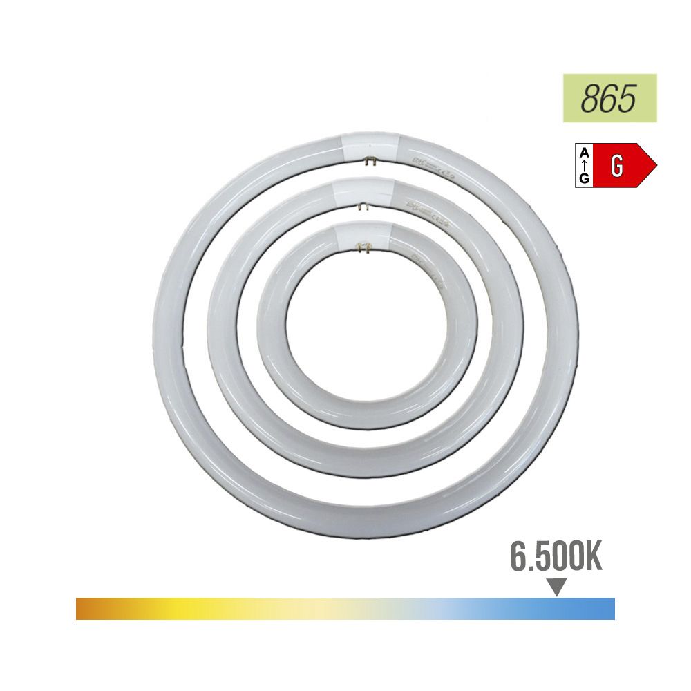 TUBO FLUORESCENTE CIRCULAR TRIFOSFORO 22W 6500 K LUZ FRIA Ø21 cm