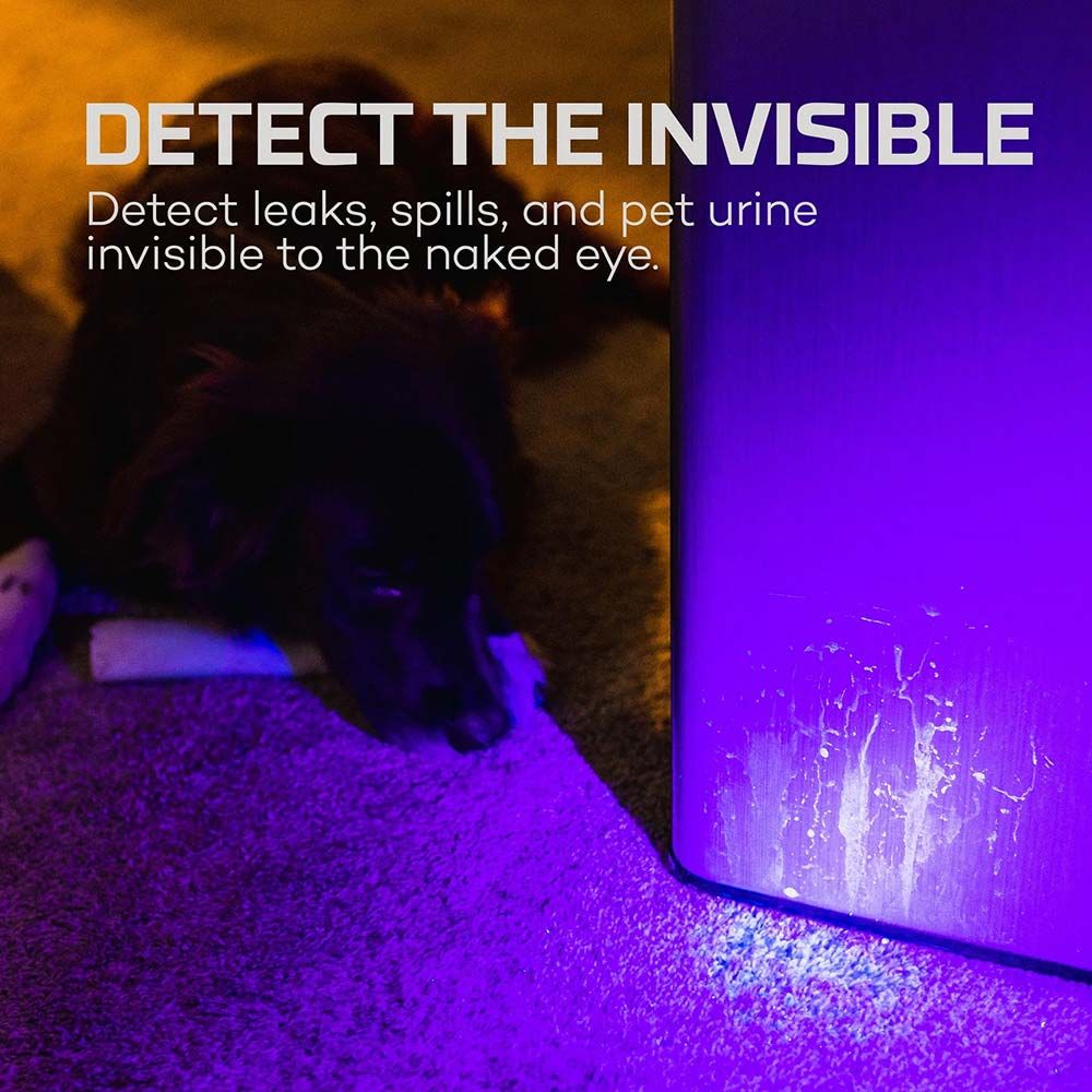 LINTERNA TORCHY UV - LUZ ULTRAVIOLETA - Imagen 6