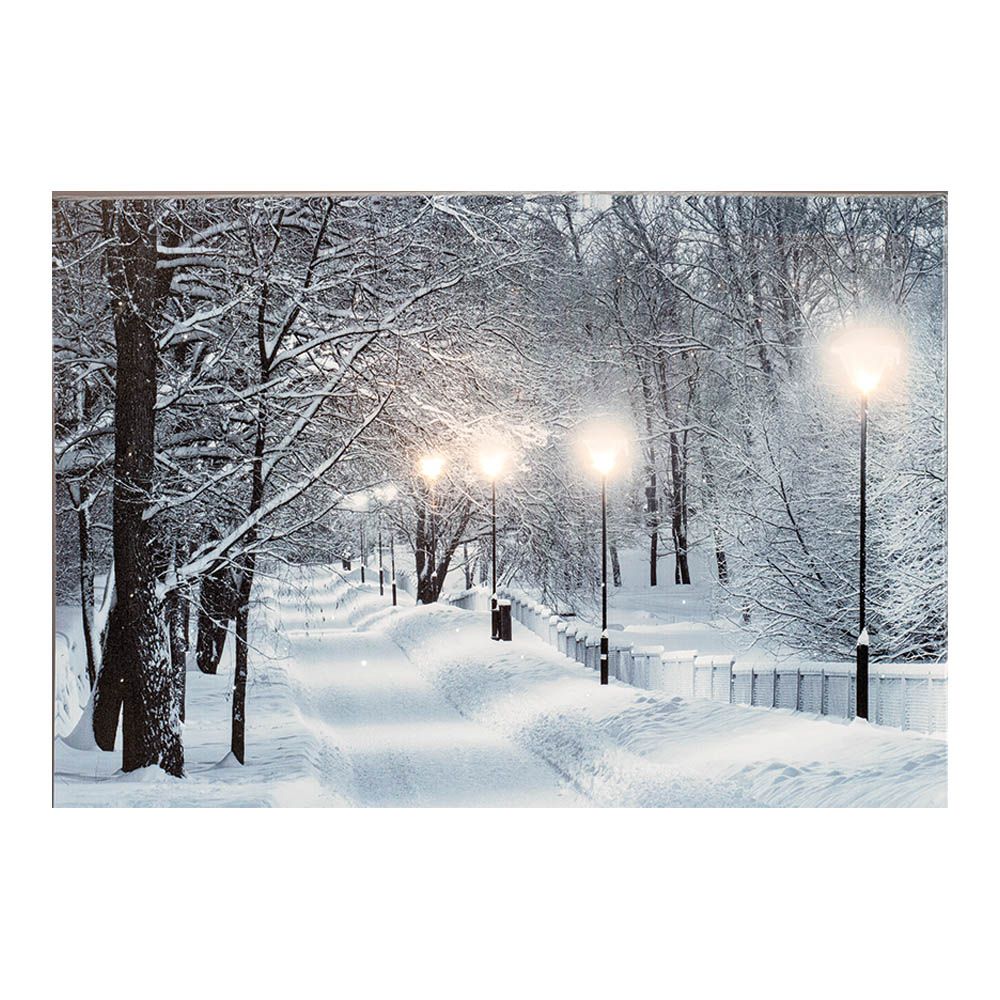 CUADRO LED PAISAJES NEVADOS 58x1,5x38cm 6 LEDS 2 MODELOS SURTIDOS - Imagen 2