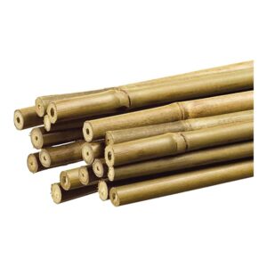 TUTOR DE BAMBÚ DECORATIVO COLOR NATURAL Ø1,1 cm x 1,20 m