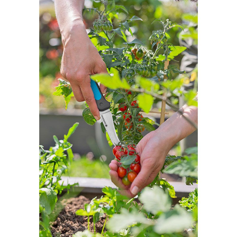 CUCHILLO VEGGIECUT - Imagen 4