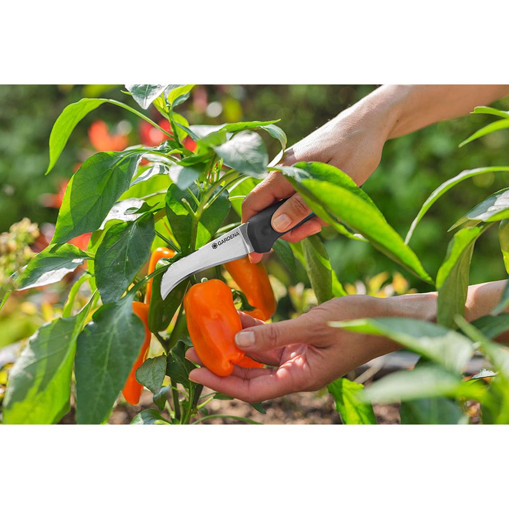 CUCHILLO VEGGIECUT - Imagen 5
