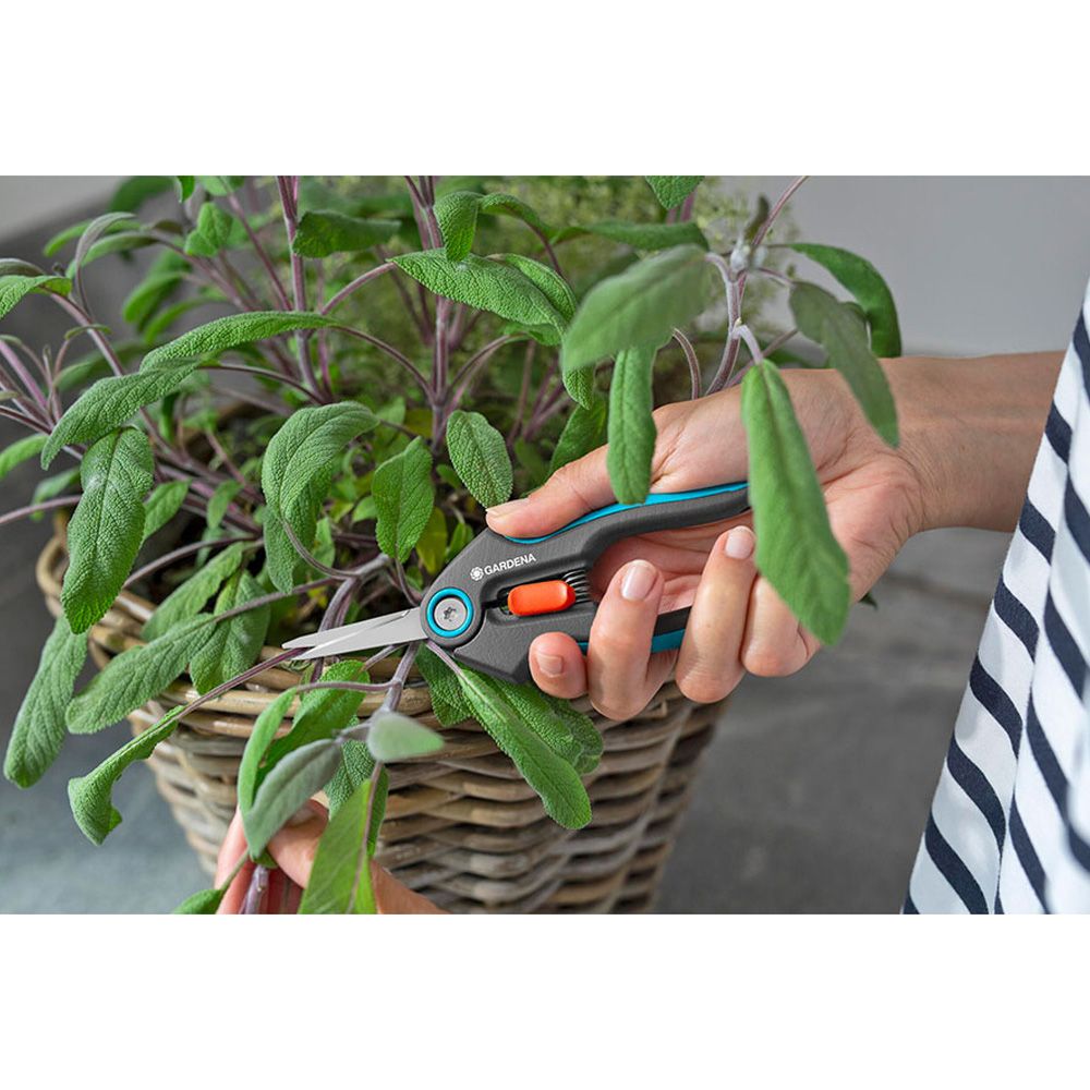 TIJERAS GRIPCUT CON CORTE BYPASS - Imagen 3