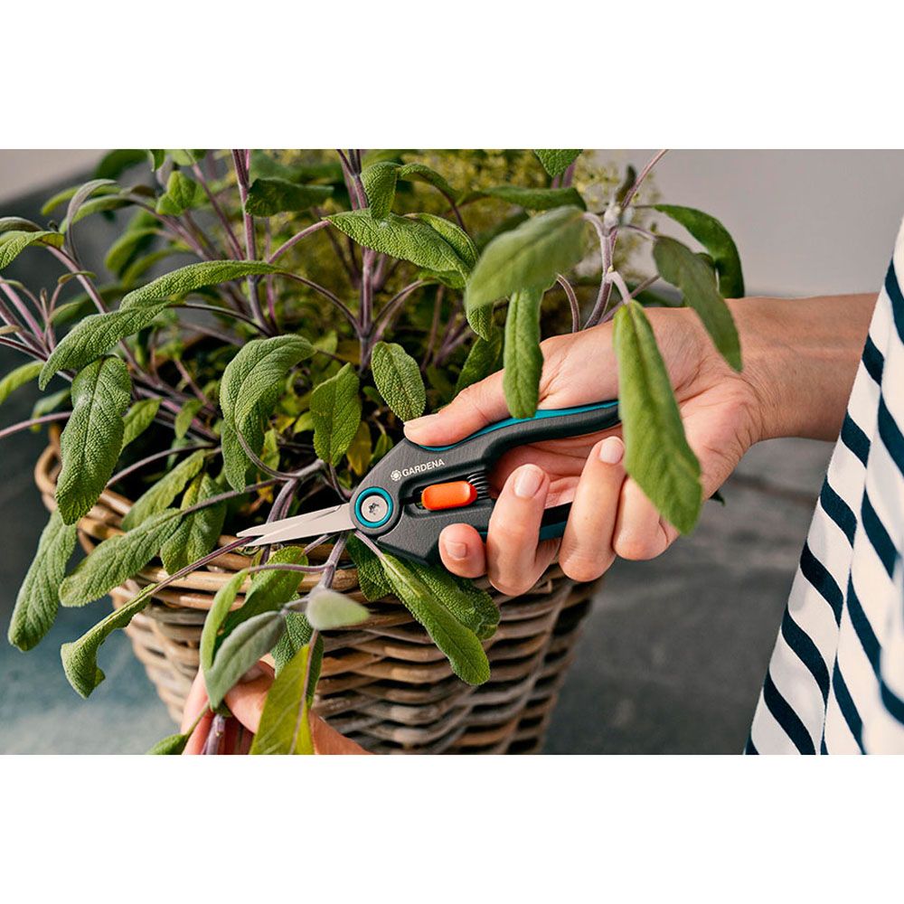 TIJERAS GRIPCUT CON CORTE BYPASS - Imagen 5
