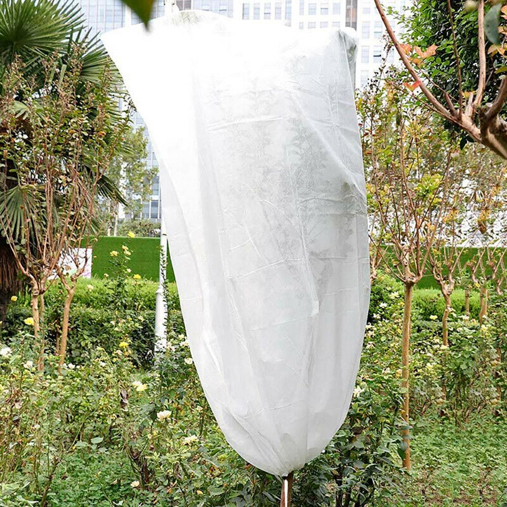 CAPUCHAS DE PROTECCIÓN DE PLANTAS Ø1,5 x 1,8 m, 2 unidades - Imagen 5