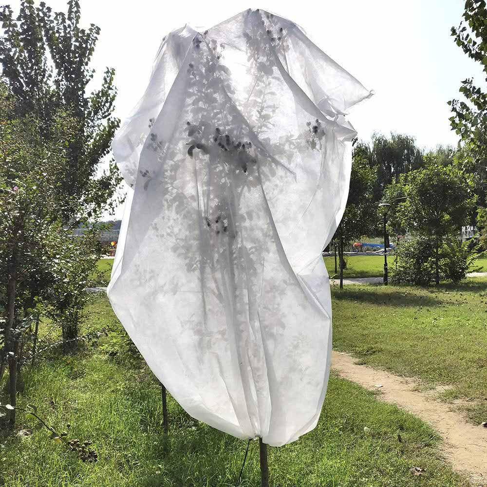 CAPUCHAS DE PROTECCIÓN DE PLANTAS Ø1,5 x 1,8 m, 2 unidades - Imagen 9