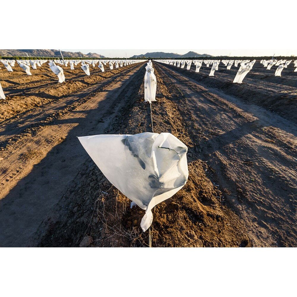 CAPUCHAS DE PROTECCIÓN DE PLANTAS Ø1,5 x 1,8 m - Imagen 8