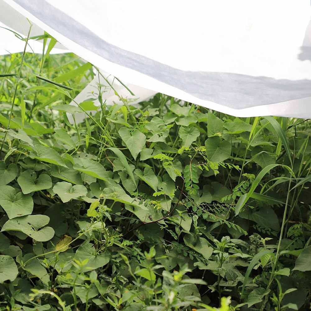 TELA DE PROTECCIÓN PARA CULTIVOS 2 x 10 m 30gr/m² - Imagen 4