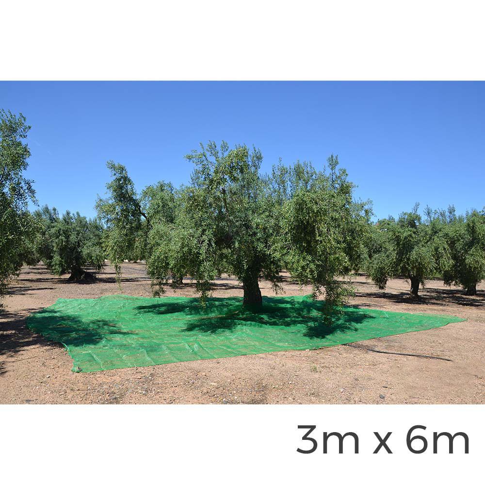 MANTO PARA RECOLECTA DE FRUTOS 3x6m COLOR VERDE