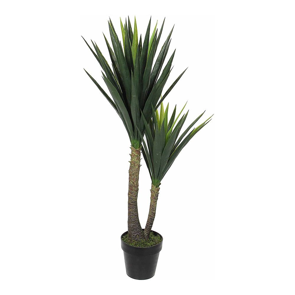 MACETA DE YUCCA, 60 x 120 cm