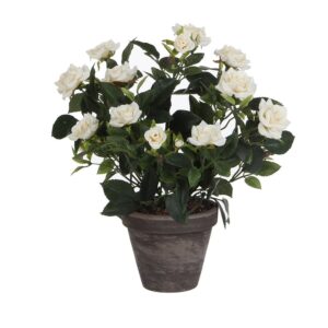 MACETA DE ROSAL BLANCO, Ø11,5 x 33 x 25 cm